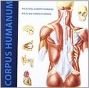 corpus-humanum
